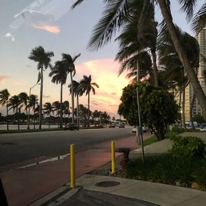 Meet your Posher, Alexandra